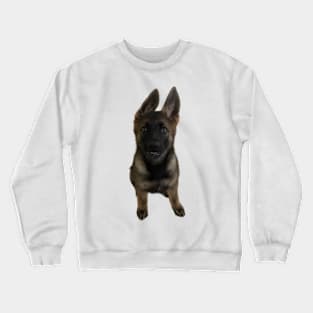 Koda Crewneck Sweatshirt